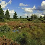 In Boltenhagen In Strandnaehe * Redewisch