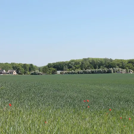 In Boltenhagen In Strandnaehe Apartmán