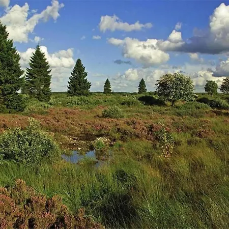 In Boltenhagen In Strandnaehe * Redewisch