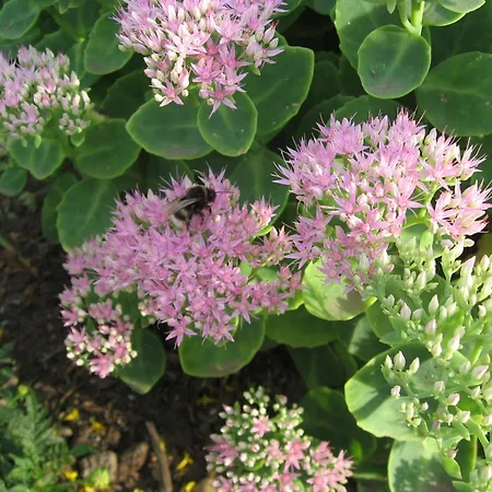 In Boltenhagen In Strandnaehe *