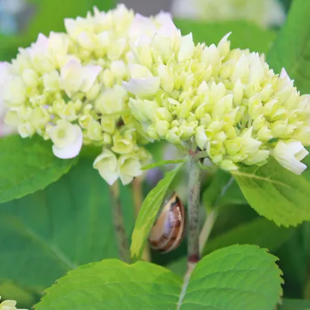 In Boltenhagen In Strandnaehe Apartmán Redewisch