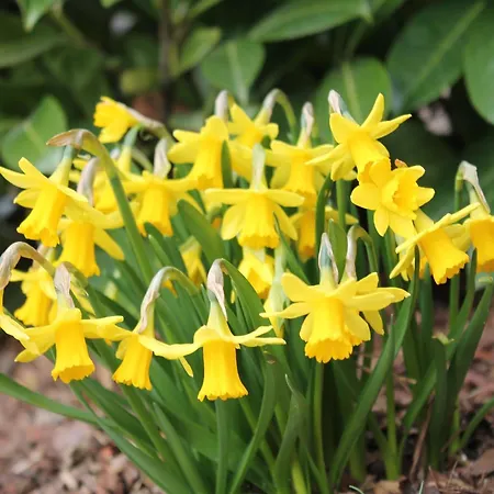 Apartmán In Boltenhagen In Strandnaehe *